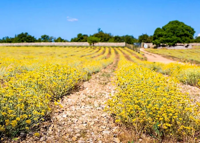 Appartement Lamar By Interhome